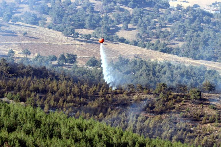 Gaziantepte orman yangını