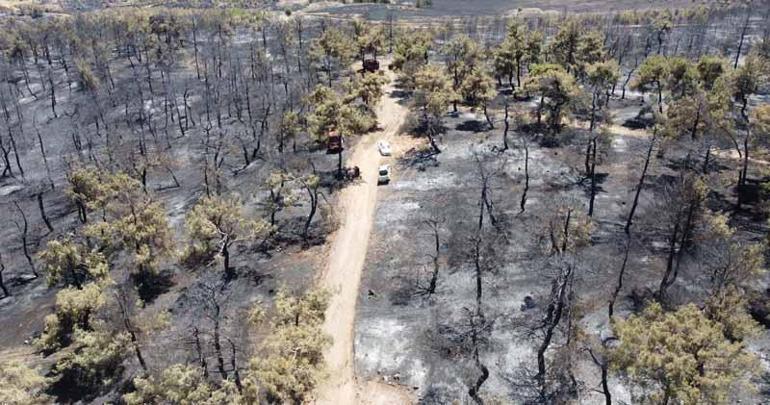 Gaziantepteki orman yangınında 58 hektar alan zarar gördü