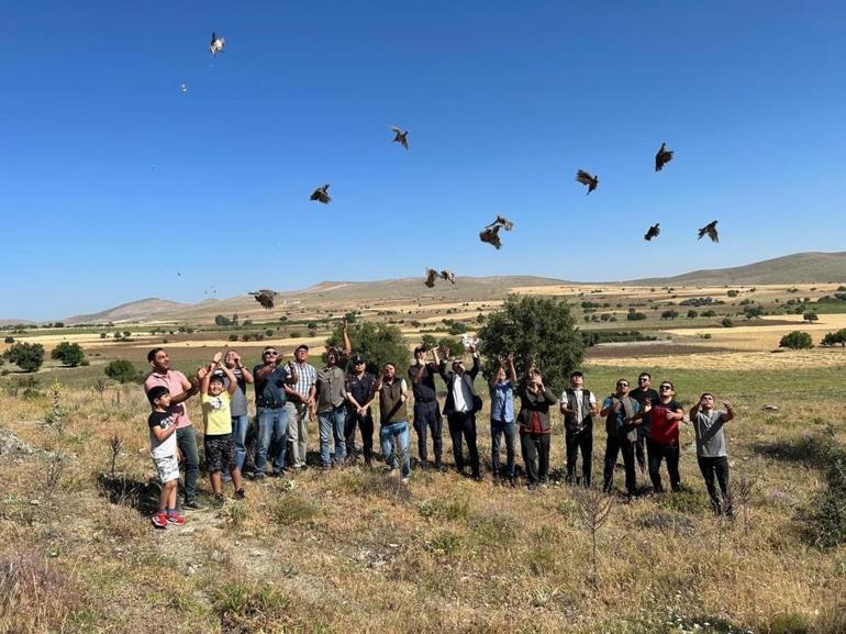 Eskişehirde kınalı keklikler doğayla buluştu