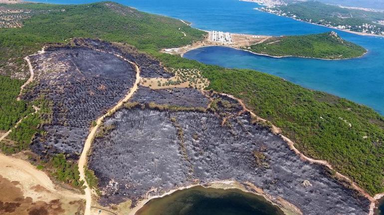 20 günde 295 orman yangını çıktı; 3 bin 160 hektar alan zarar gördü