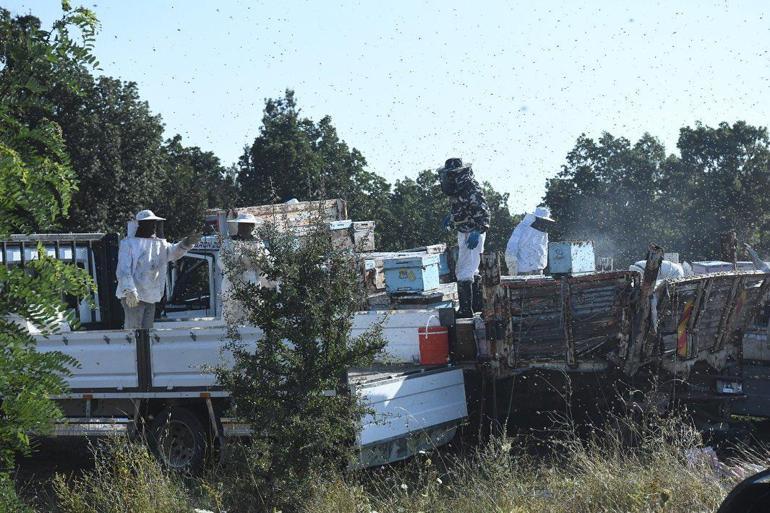 Edirnede TIR, park halindeki 2 kamyonete çarptı: 4 ölü, 1 yaralı