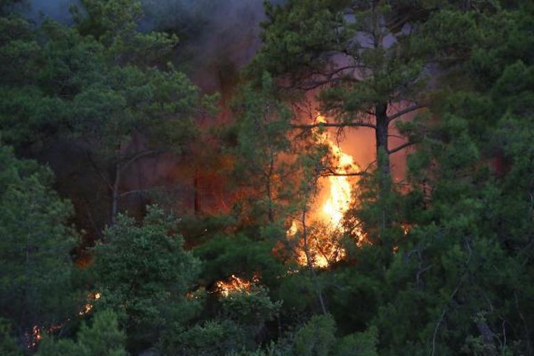 Kemerdeki orman yangınına havadan müdahale