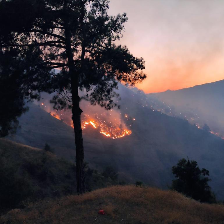 Kahramanmaraş’ta, 14 saat süren yangında 100 hektar alan zarar gördü