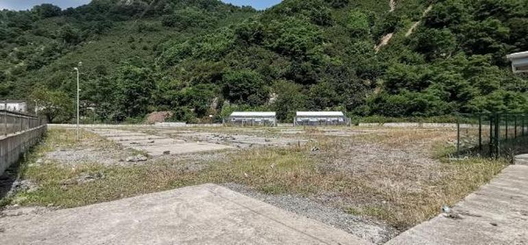 Asrın felaketi’, fındığı da vurdu