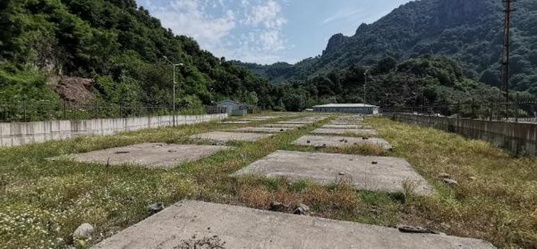 Asrın felaketi’, fındığı da vurdu