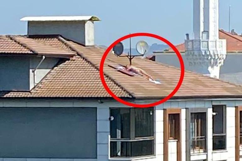 Çatıda çıplak halde güneşlendi, polis sirenini duyunca kaçtı