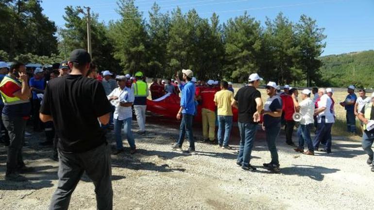 Oyuna gelmeyin, bindiğiniz dalı kesmeyin, enerji hayattır