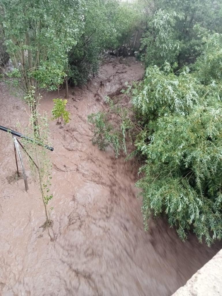 Kağızmanda dolu, Diyadinde yağmur zarar verdi