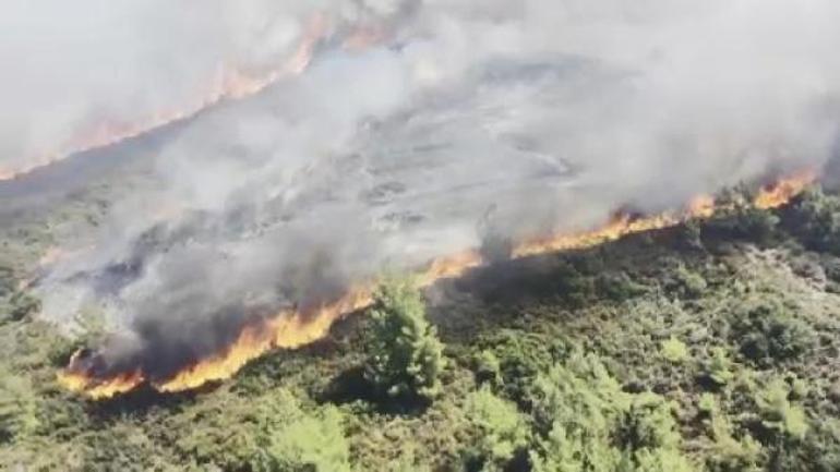 Rodos’ta orman yangınlarıyla mücadele kamerada