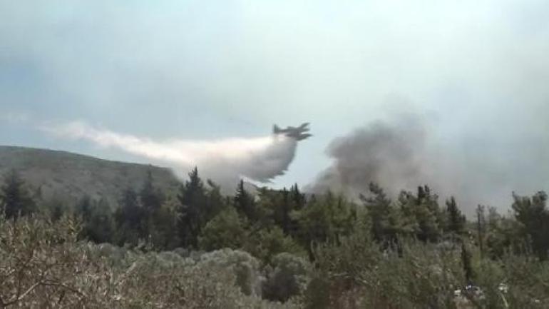 Rodos’ta orman yangınlarıyla mücadele kamerada