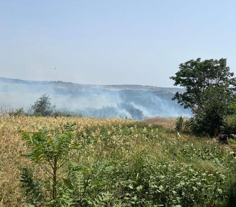 Anız yangını, ekili alanlara sıçramadan söndürüldü