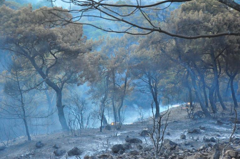 Manisadaki orman yangınında şüpheli tarım işçisi tutuklandı