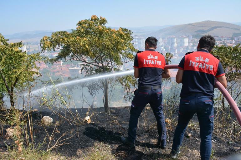 Zile Kalesinin eteklerinde yangın