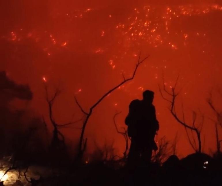 Yunanistan İklim Krizi Bakanı: Çoğunluğu insan eliyle olmak üzere 667 orman yangını meydana geldi