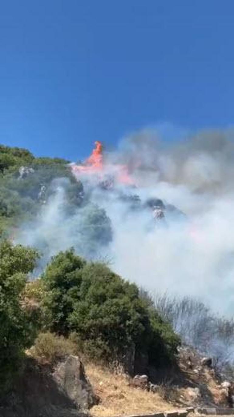 İzmirde orman yangını