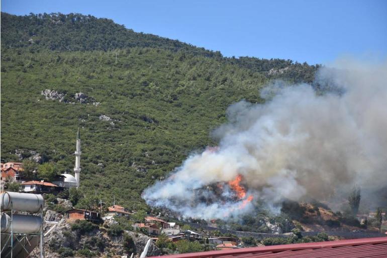 İzmirde orman yangını