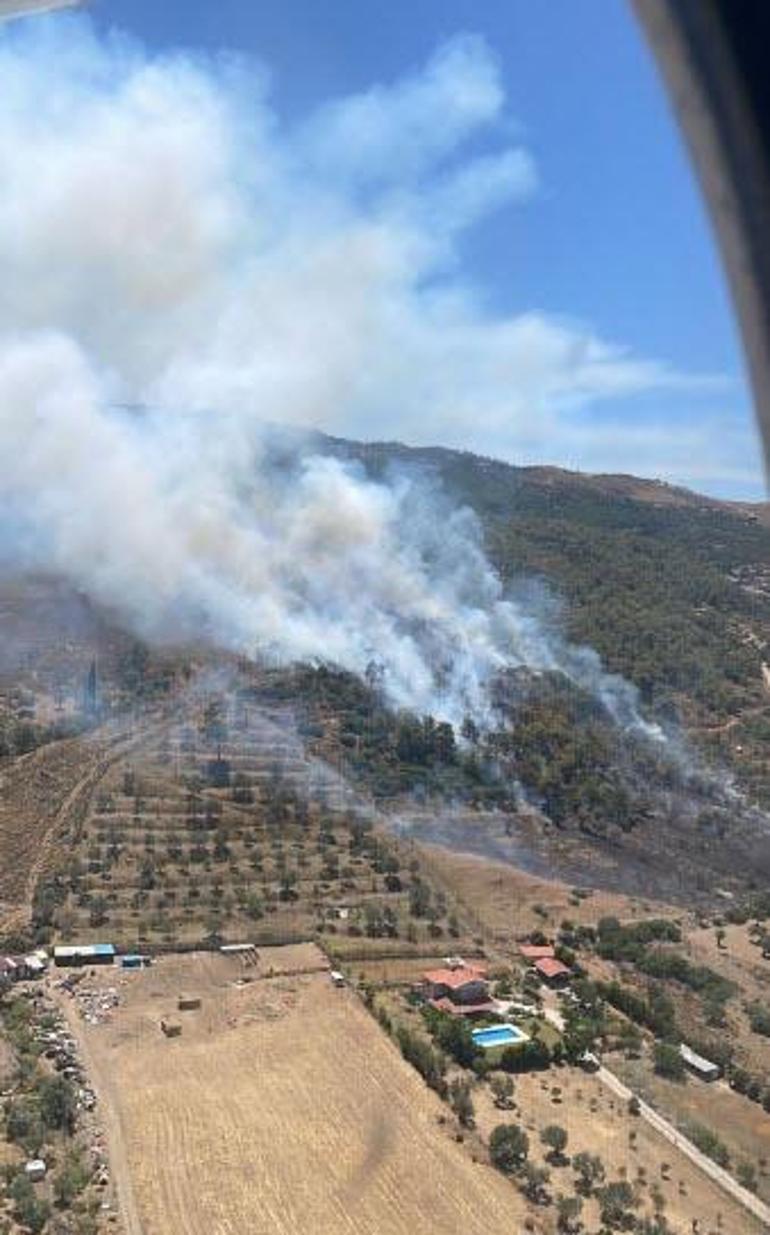 İzmirde orman yangını