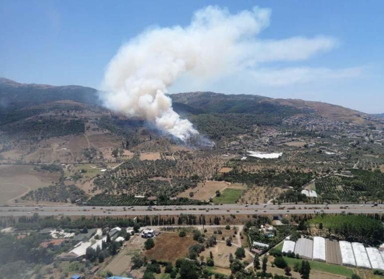 İzmirde orman yangını
