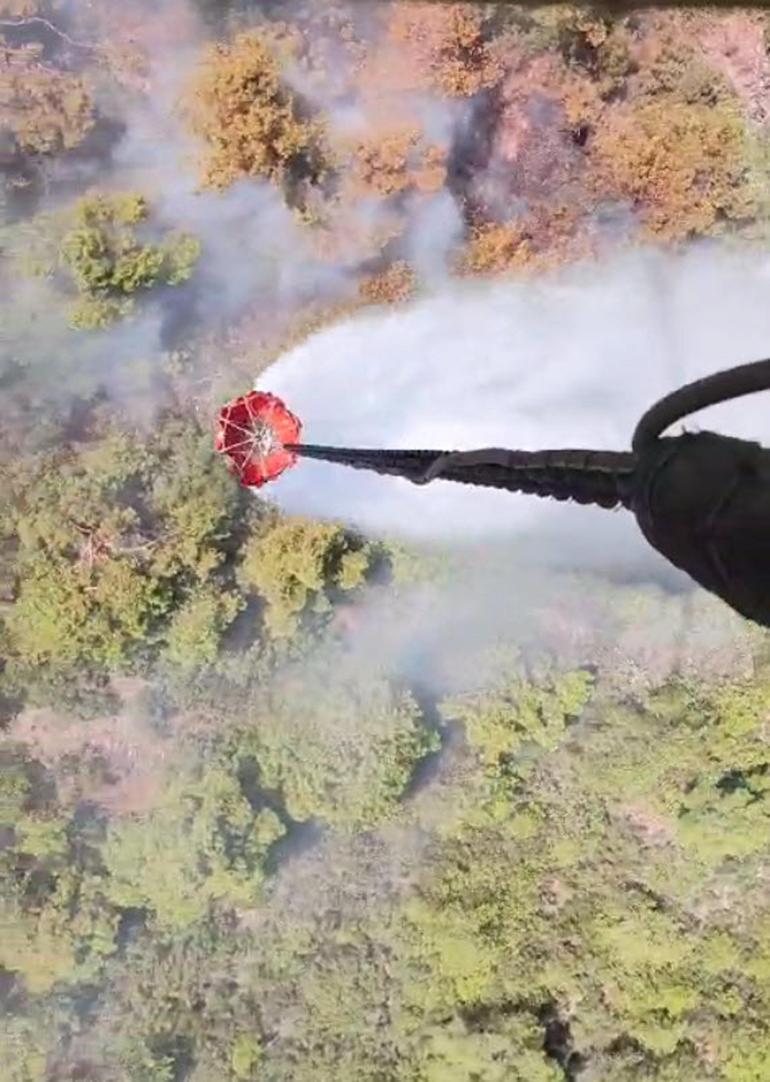 İzmirde orman yangını