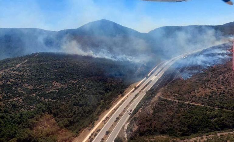 İzmirde orman yangını