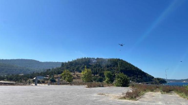 Çanakkalede orman yangını 2 saatte kontrol altına alındı