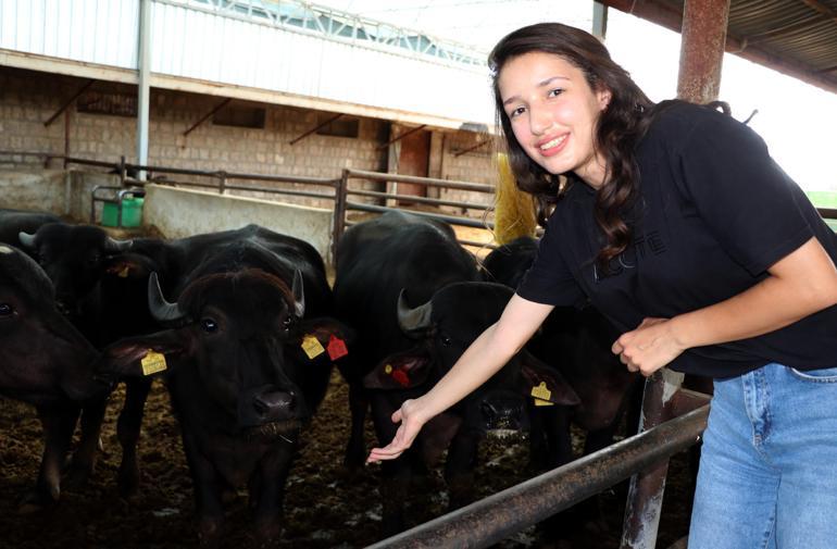 Kadın çiftçi kredisiyle 10 manda alıp, 2 yılda süt işletmesi kurdu