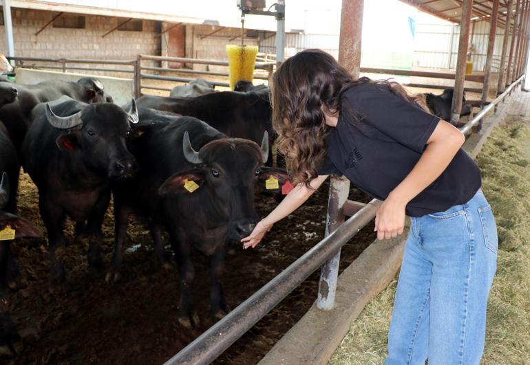 Kadın çiftçi kredisiyle 10 manda alıp, 2 yılda süt işletmesi kurdu