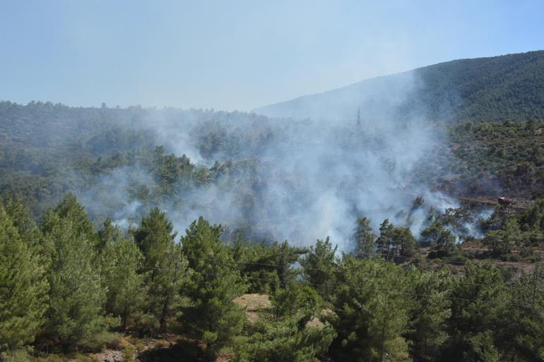 İzmir’deki 3 yangında 25 hektar alan zarar gördü