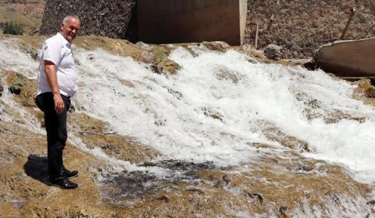 Yumurtalarını bırakmak için göçe başlayan binlerce sazana beton engeli