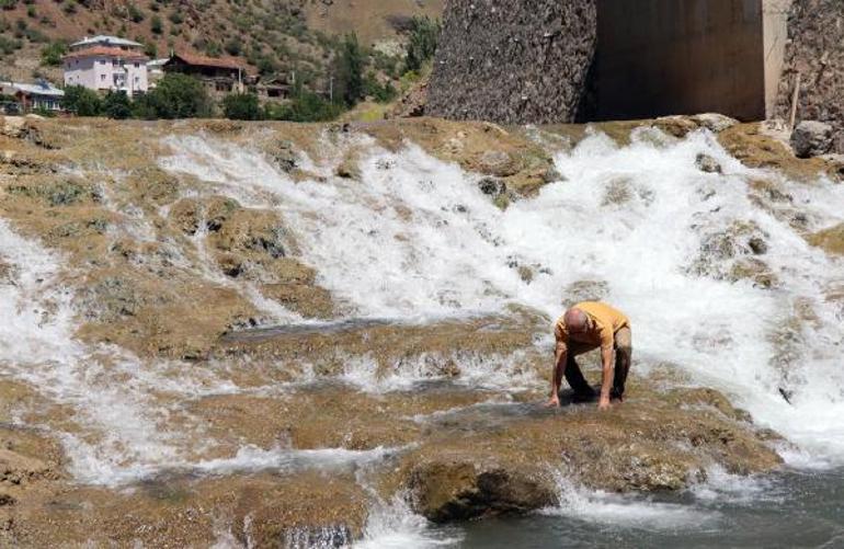 Yumurtalarını bırakmak için göçe başlayan binlerce sazana beton engeli