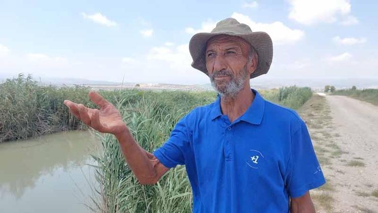 Sulama kanalında ölü hayvanlar bulundu