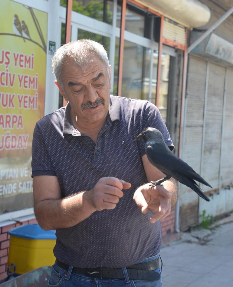 Karga Cingözle 4 yıldır dost