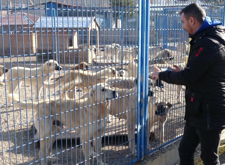 Prof. Dr. Çoban: Yılda 250 bin kişi kuduz şüphesiyle aşılanıyor