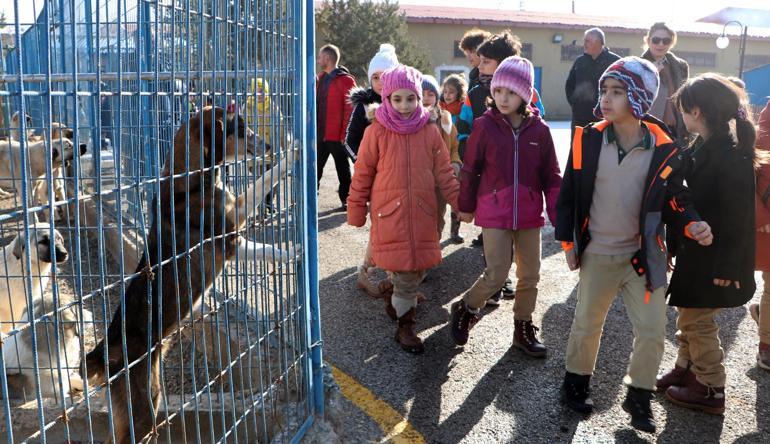 Prof. Dr. Çoban: Yılda 250 bin kişi kuduz şüphesiyle aşılanıyor
