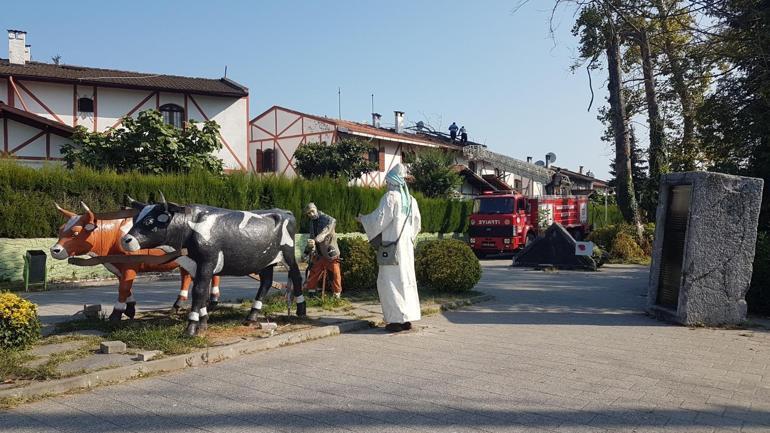 Asırlık çınar ağacı villanın çatısına devrildi