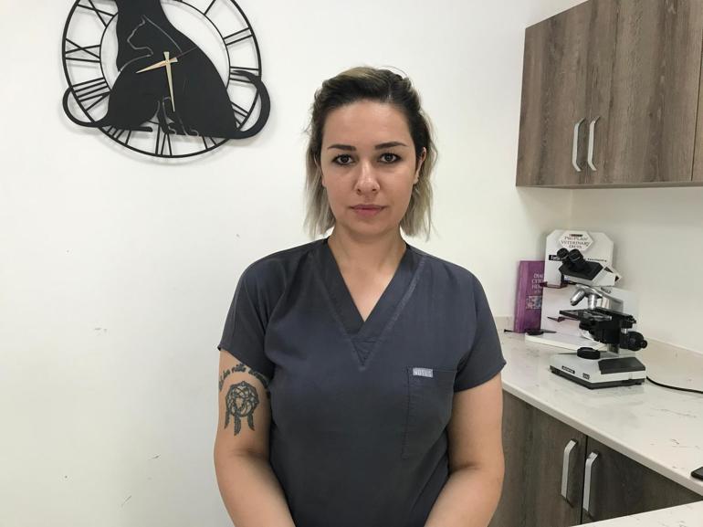 Ankarada veteriner hekimlerden şiddete tepki için klinik kapatma eylemi