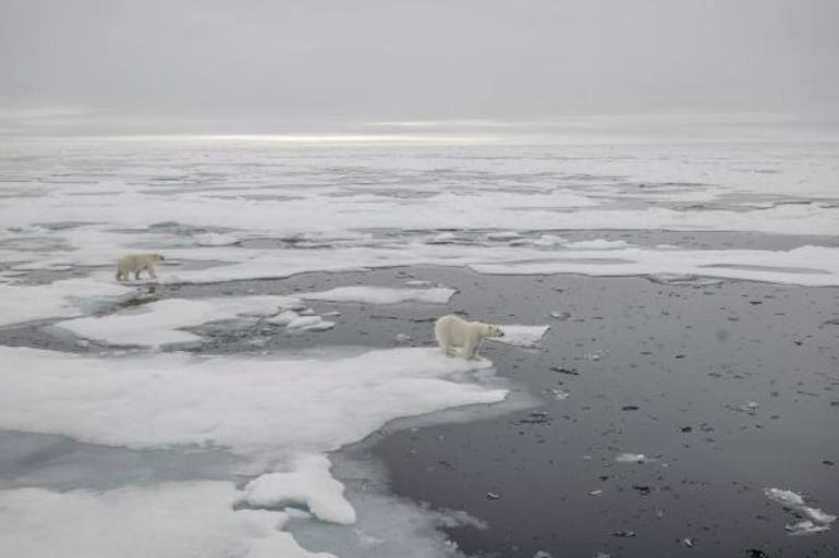Ulusal Arktik Bilimsel Araştırma Seferi tamamlandı