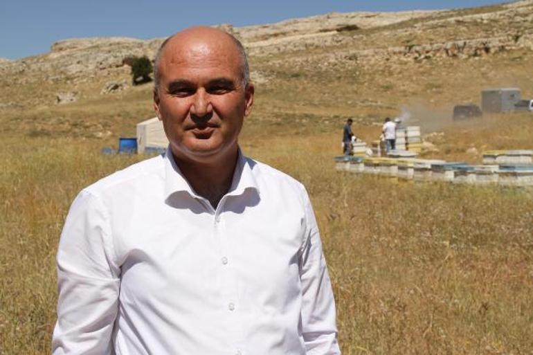 Araştırma enstitüsü, Torosların eteklerinde 2,5 ton bal üretti