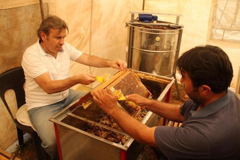 Araştırma enstitüsü, Torosların eteklerinde 2,5 ton bal üretti