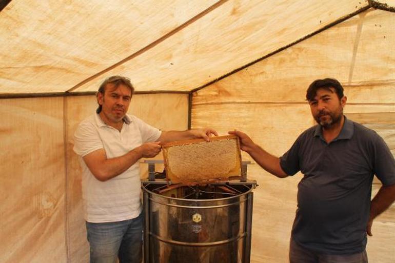 Araştırma enstitüsü, Torosların eteklerinde 2,5 ton bal üretti