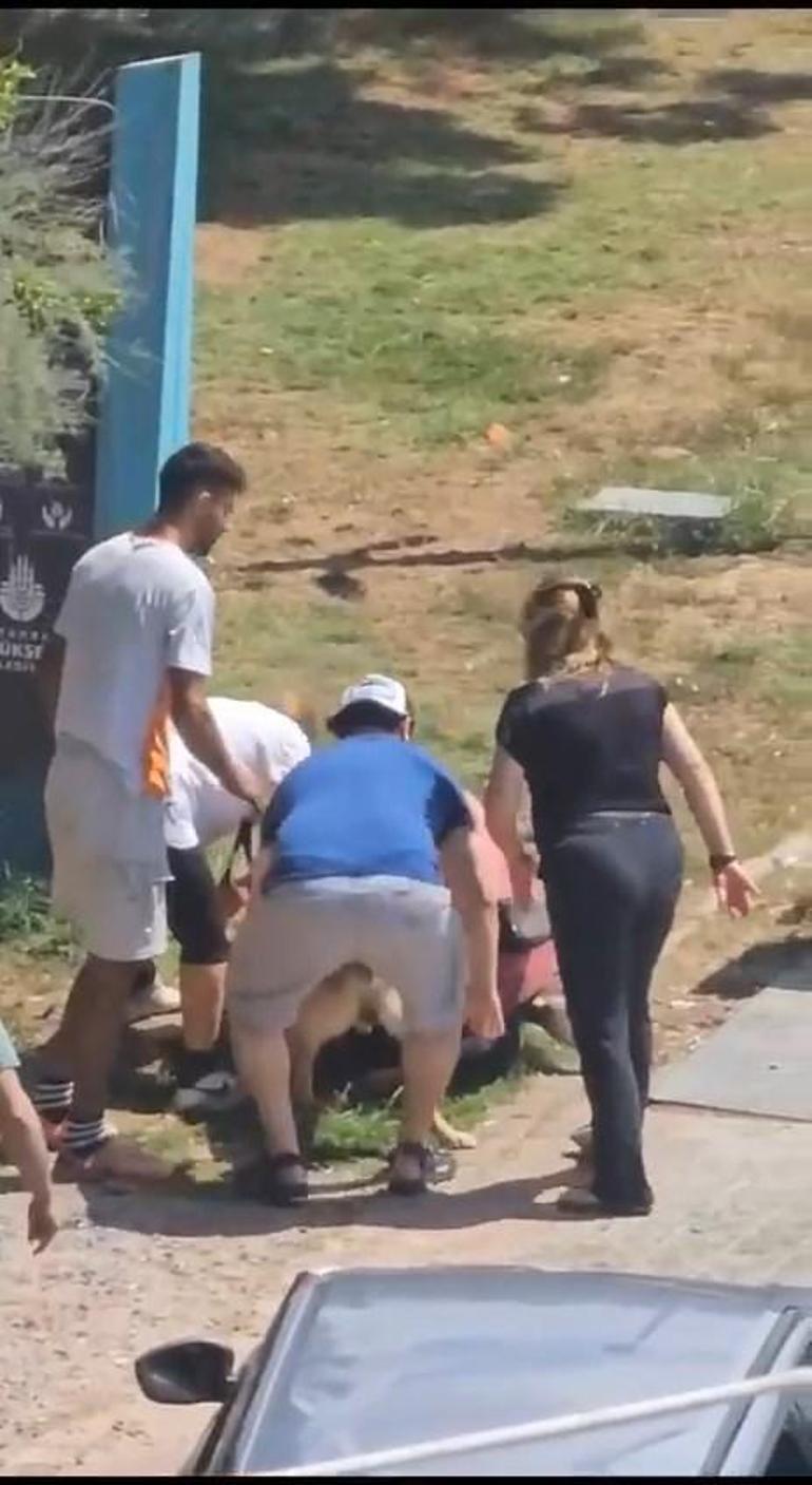 Kadıköyde tasmasız gezdirilen köpek dehşet saçtı