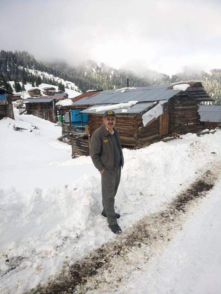 Artvin’de yamaçtan yuvarlanan ağaç kamyonete çarptı: 1 ölü, 1 yaralı