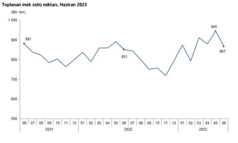 TÜİK: Haziranda yumurta üretimi arttı, içme sütü üretimi azaldı