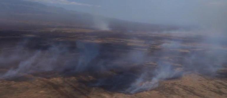 Havai’deki orman yangınlarında ölü sayısı 55’e yükseldi