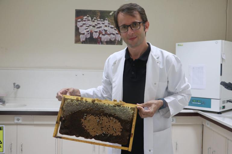İklim değişikliği kaynaklı arı ölümlerine karşı eylem planı hazırlanmalı