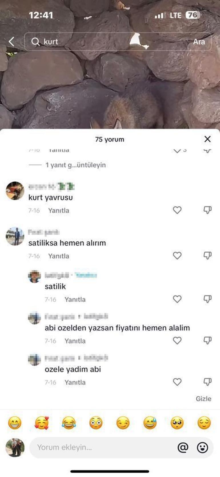 Yavru kurdu sosyal medyada satışa çıkaran kişiye 14 bin 386 lira ceza