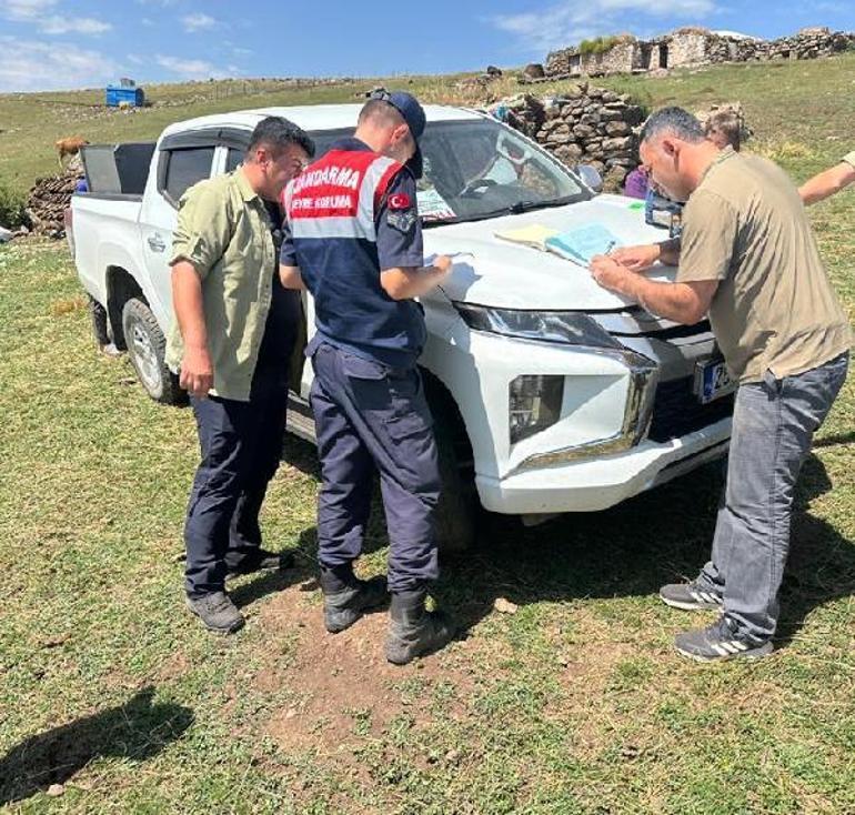 Yavru kurdu sosyal medyada satışa çıkaran kişiye 14 bin 386 lira ceza