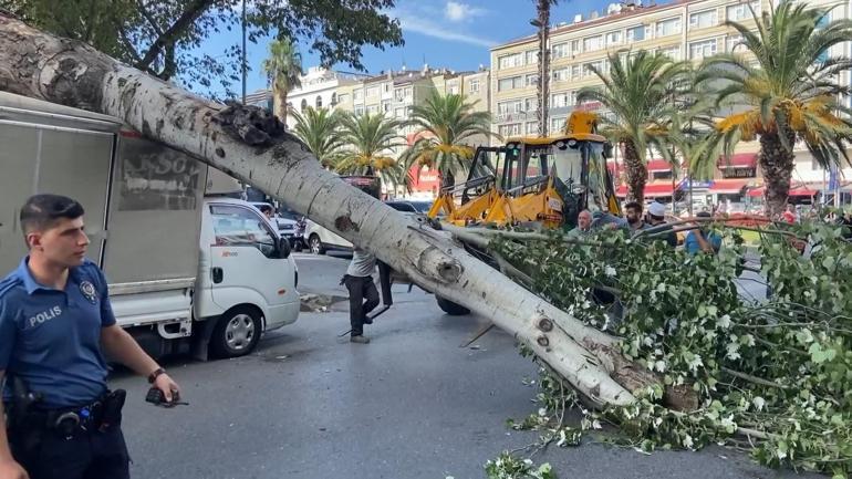 Fatihte kamyonetin üzerine ağaç devrildi: O anlar kamerada