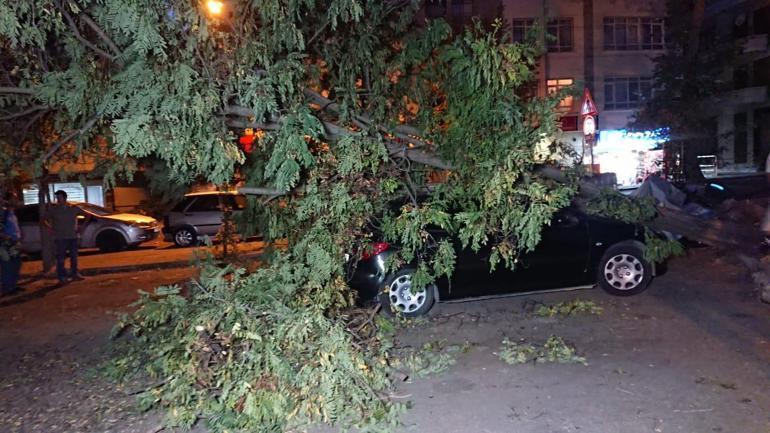 Ankarada kuvvetli rüzgar; ağaçlar devrildi, çatılar uçtu
