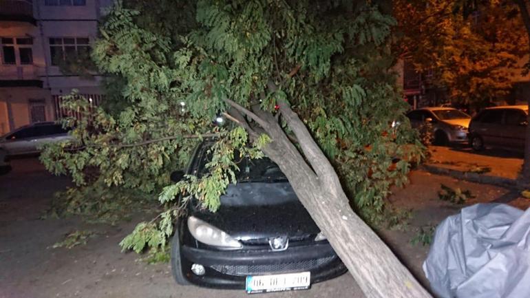 Ankarada kuvvetli rüzgar; ağaçlar devrildi, çatılar uçtu